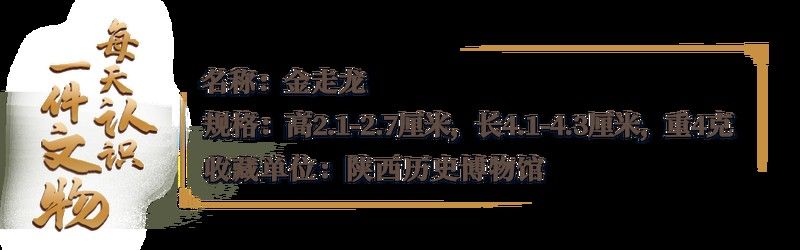 有沒(méi)有高清版金龍圖案素材？：關(guān)于高清金龍圖案素材的商用授權(quán)費(fèi)用是多少