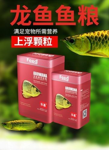 龍魚應(yīng)該吃什么飼料？：龍魚的飼料選擇需根據(jù)其生長階段和營養(yǎng)需求進行科學搭配