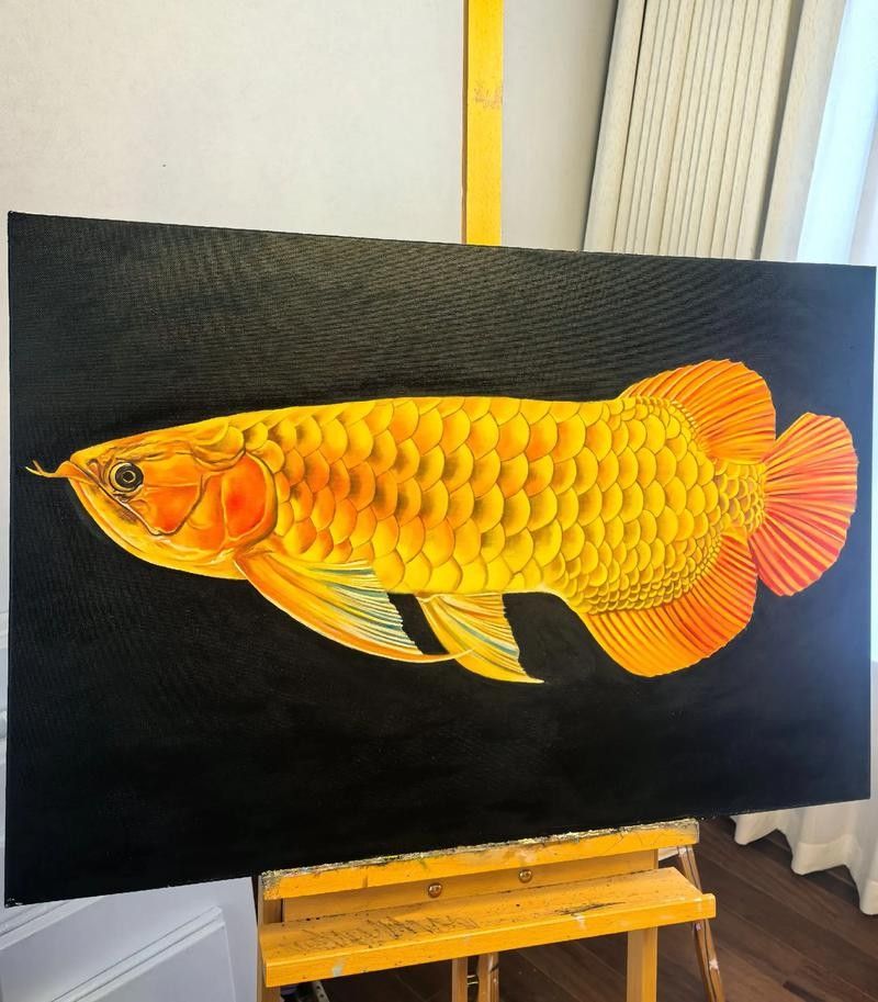 金龍魚圖片做微信頭像如何：微信頭像選擇金龍魚圖片的多重寓意和使用建議