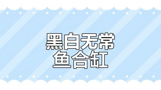 龍魚和黑魚能混養嗎：龍魚與什么魚混養比較合適