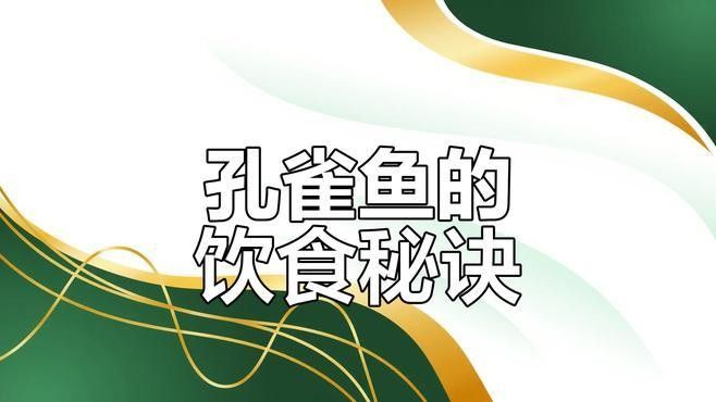 孔雀龍魚成魚吃什么食物最好：孔雀龍魚的喂養(yǎng)方法
