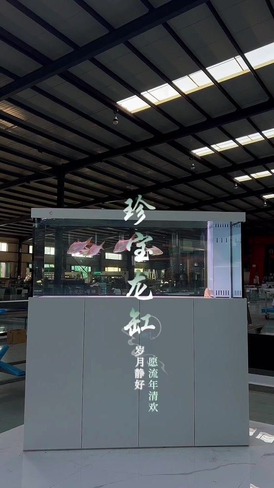 寶鉆龍魚缸有哪些顏色可選：寶鉆龍魚缸提供多種顏色選擇