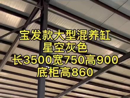 寶鉆龍魚缸有哪些顏色可選：寶鉆龍魚缸提供多種顏色選擇