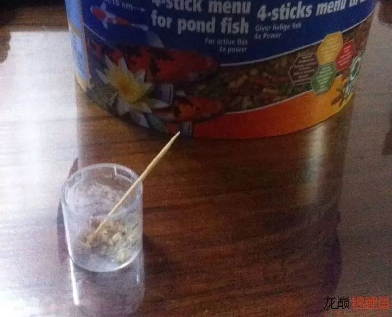 龍魚爛嘴病會傳染嗎？：龍魚爛嘴病怎么辦