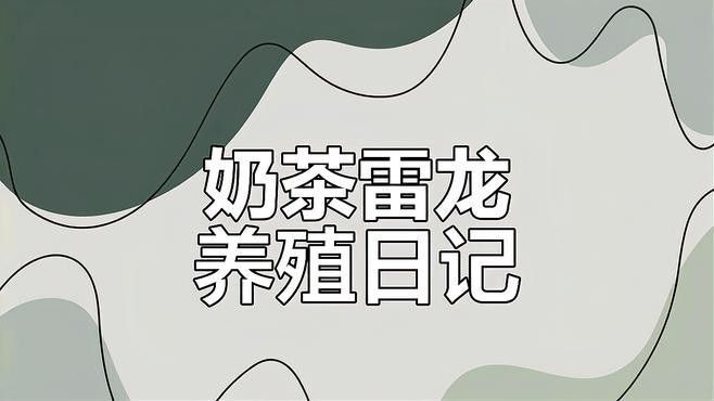 如何預防雷龍魚爛尾？：奶茶雷龍養護全紀錄:從魚缸清理到驅蟲治療愛學習