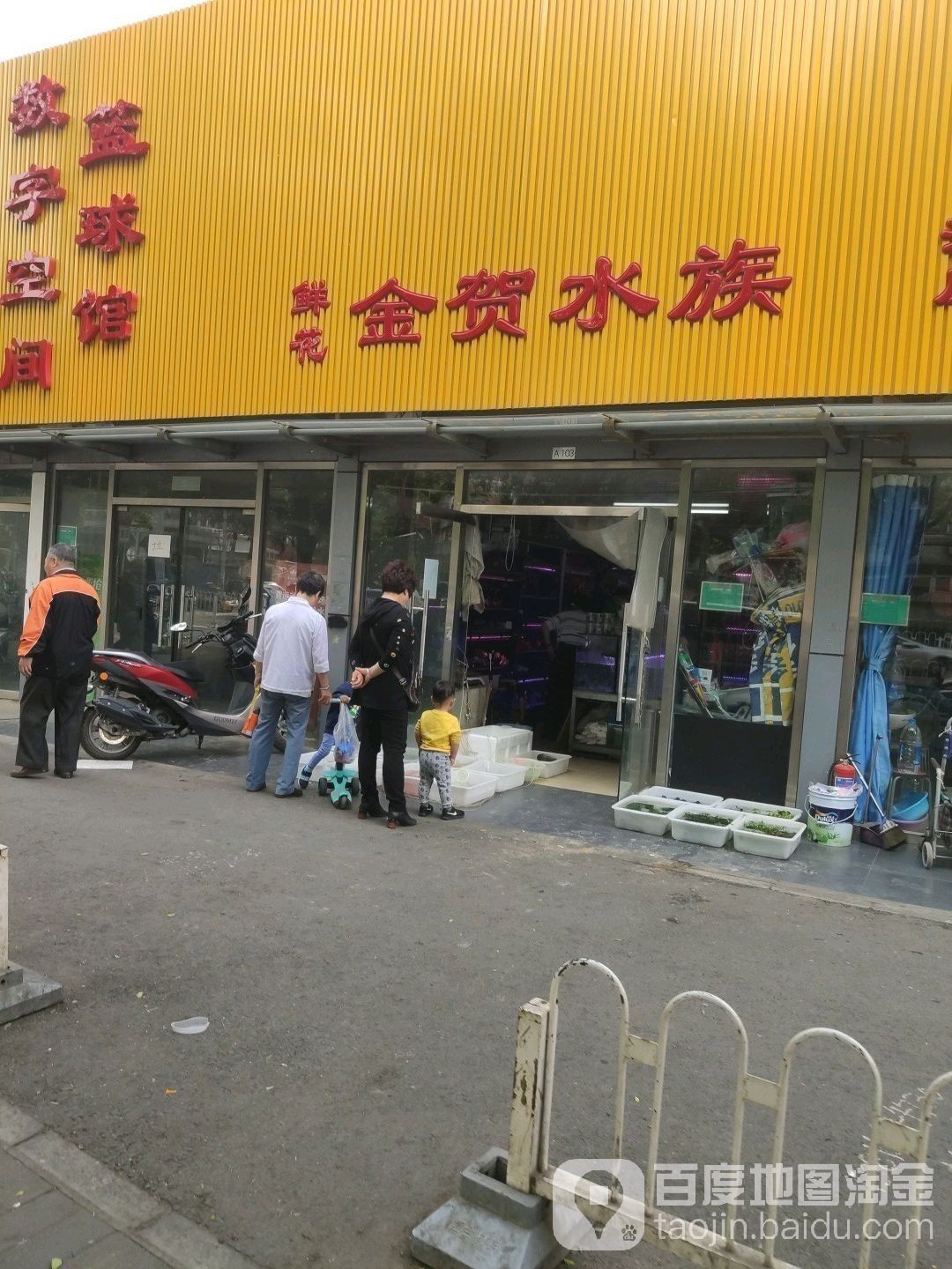 北京還有哪些水族市場？：兄弟水族(東潞苑農貿市場店)5.0