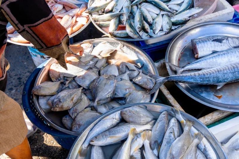 龍魚充血和刮傷會自愈嗎？：30種龍魚疾病治療方法大全