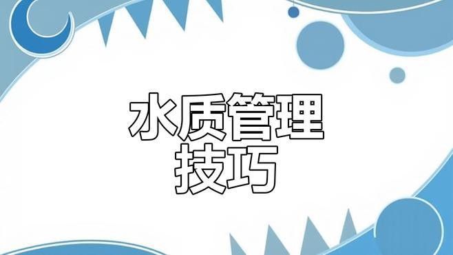 如何設(shè)置黃龍魚繁殖缸：vann羽跡(自然生態(tài)之繁殖龍魚