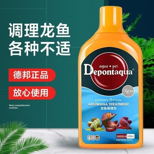 龍魚嘴破后如何護理？：雷龍魚嘴巴潰爛了怎么辦陳摯品怎么治療中科藍魚
