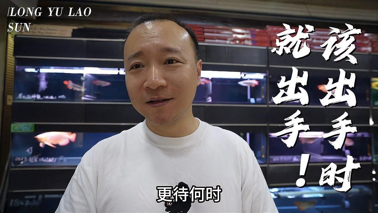 北京和興龍魚貿易的歷史背景：北京和興龍魚貿易有限公司價格調整