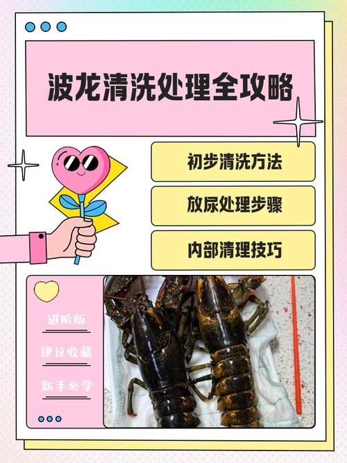 龍魚掉鱗后如何護(hù)理？：龍魚掉鱗片怎么辦