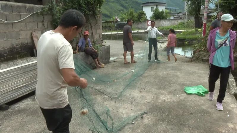 過期的古龍魚飼料如何處理：過期的古龍魚飼料怎么處理