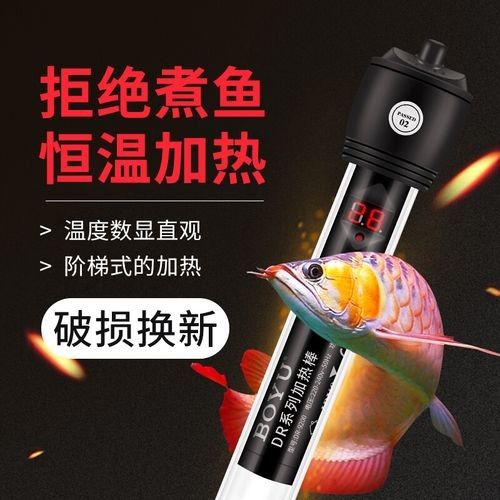 龍魚加熱棒哪個品牌好？：馬印橫變鈦魚缸加熱棒