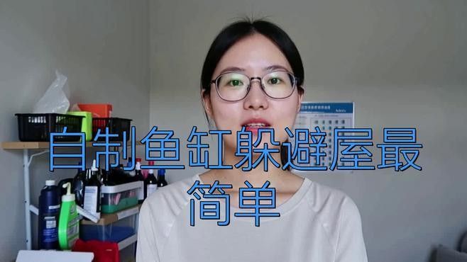 如何設置魚缸中的躲避區域：自制魚缸躲避屋