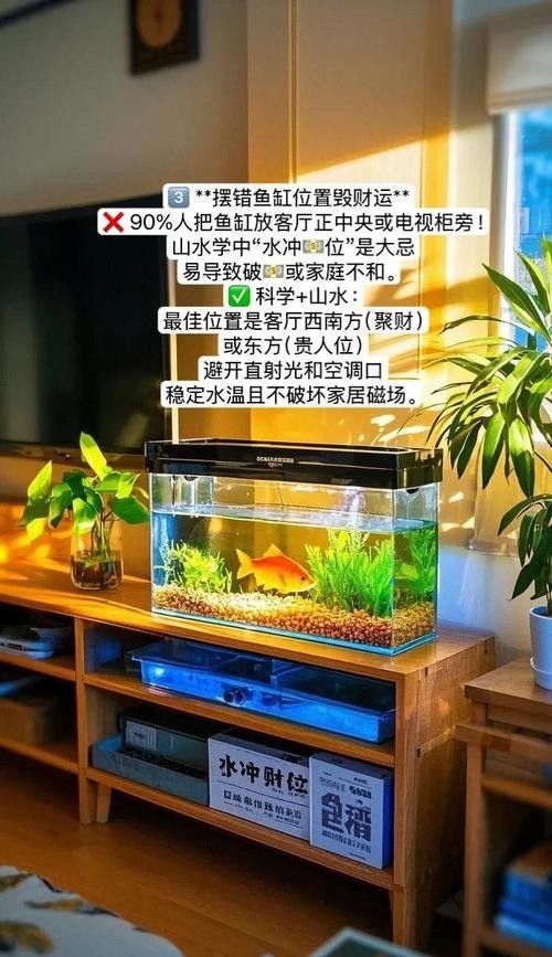 如何設置魚缸中的躲避區域：自制魚缸躲避屋