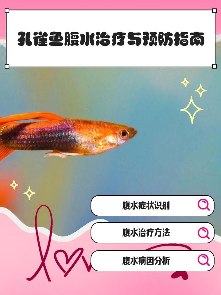 如何早期發現恐龍魚的腹水癥狀：六角恐龍肚子變黑的原因