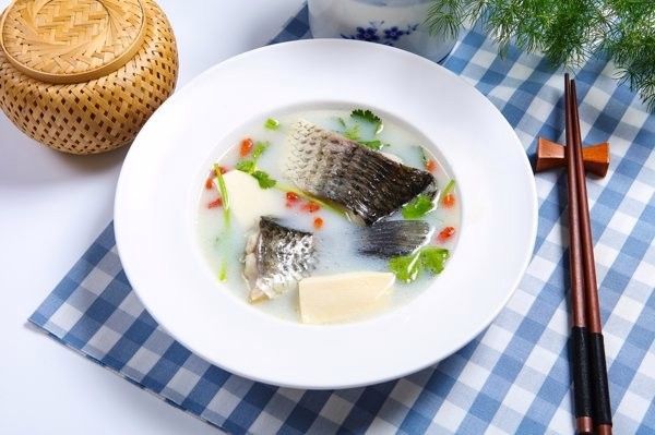 龍魚身上白點多久會消失：魚身上長白點怎么辦