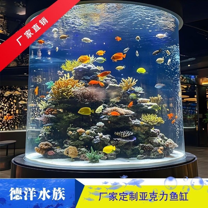 匯龍魚缸的安裝費用是多少：匯龍魚缸安裝費用