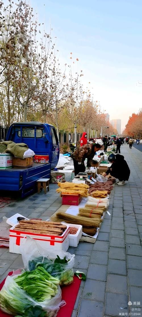 如何聯系到阿克蘇火龍魚批發城負責人：關于阿克蘇火龍魚批發城的公告