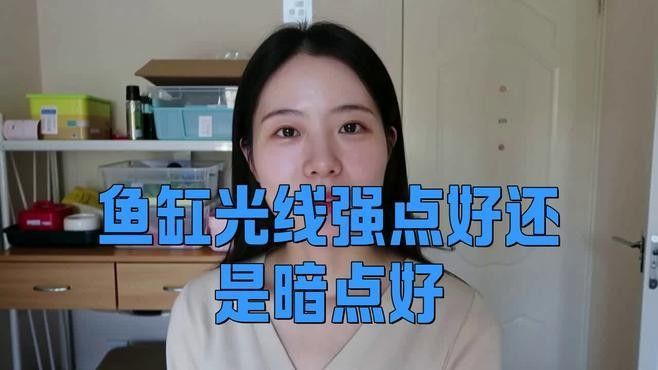 如何給雷龍魚提供適當(dāng)?shù)墓庹眨浚豪堲~養(yǎng)護(hù)指南