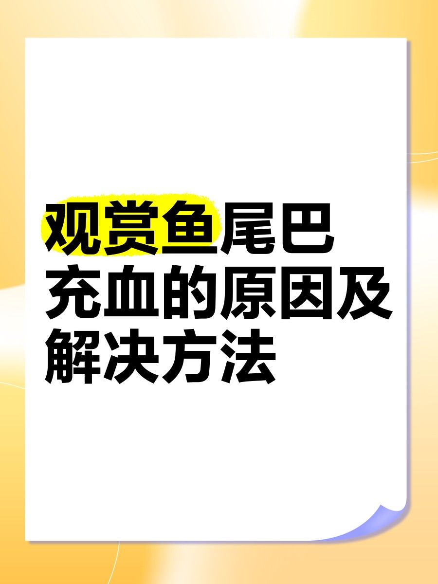 龍魚尾鰭充血期間需要換水嗎：綠視小空間，觀賞魚尾巴充血怎么回事