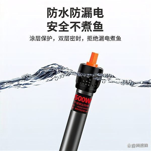如何預防龍魚溫度過低？：金龍魚水溫控制指南:讓你的龍魚安全過冬咱燕姐的故事