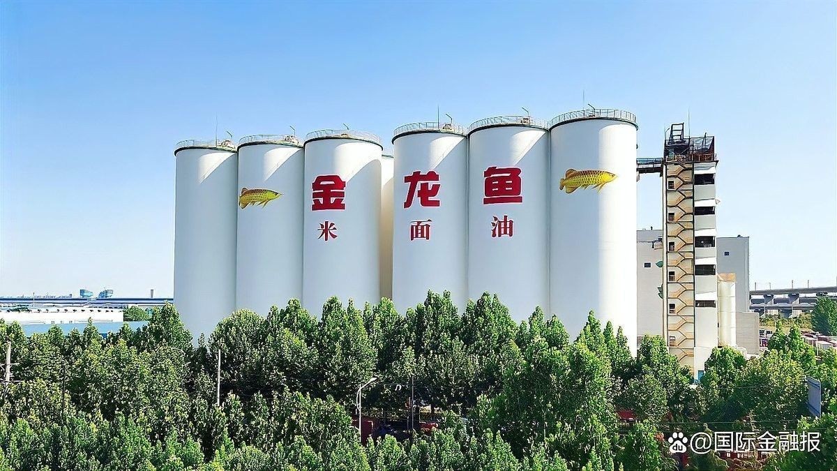 金龍魚的銷售業績如何：金龍魚2024年營收2389億元產品銷量再迎增長時代