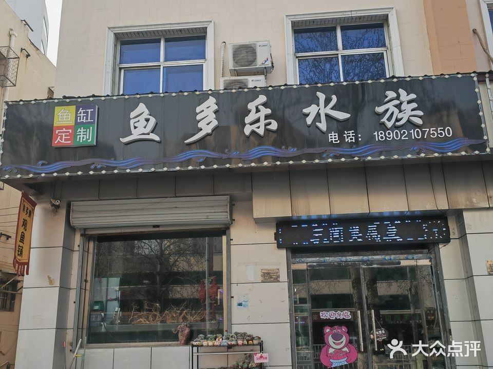 靜海哪個水族館龍魚好？祥龍魚場龍魚：三一水族(福盛園店)鈺華街123號購物商鋪