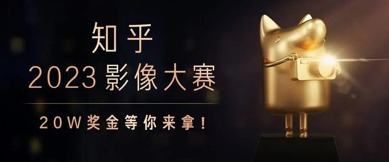 金龍魚攝影作品有哪些風格：金龍魚攝影作品全解析