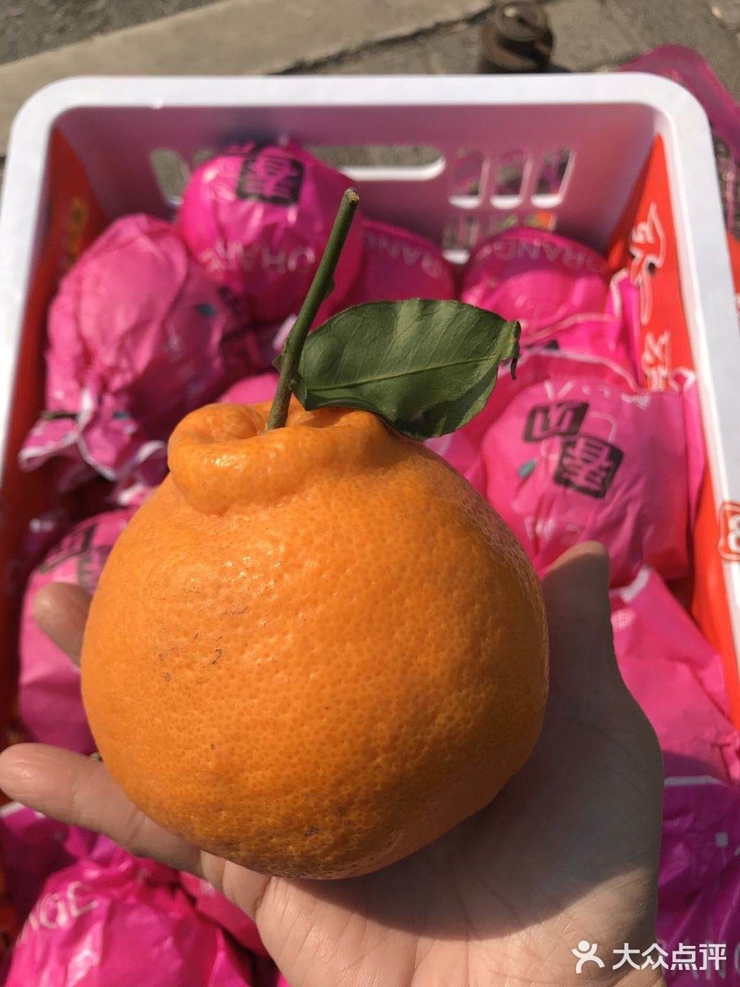 給我推薦幾家賣龍魚的水產(chǎn)商戶：北京養(yǎng)龍新手小白如何挑選專業(yè)龍缸龍魚缸壹遇龍魚