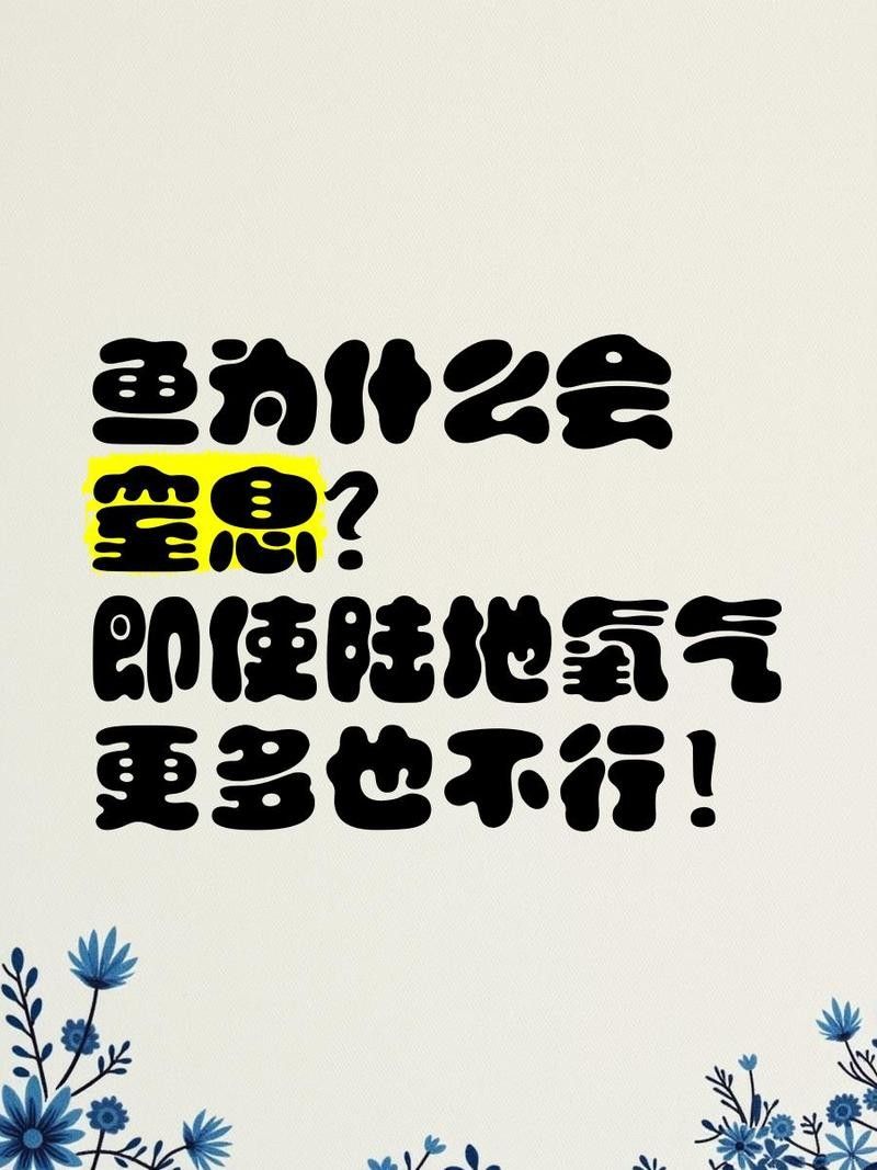 雷龍魚鉆沙子里會(huì)窒息嗎：雷龍魚呼吸機(jī)制和鉆沙行為需結(jié)合以下特點(diǎn)分析