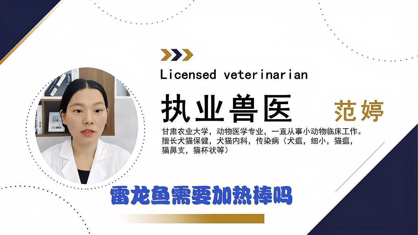 雷龍魚冬天需要加溫嗎：小fish周邊游，養雷龍魚秘籍!溫度水質全解析制造冷知識