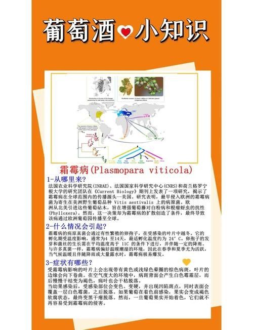 如何預(yù)防白霉病的復(fù)發(fā)？：——預(yù)防霉菌性陰道炎怎么預(yù)防