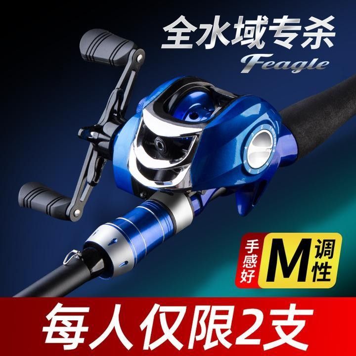 金龍魚和黑魚哪個更兇猛？：黑魚和金龍魚哪個更適合家庭飼養黑魚和金龍魚