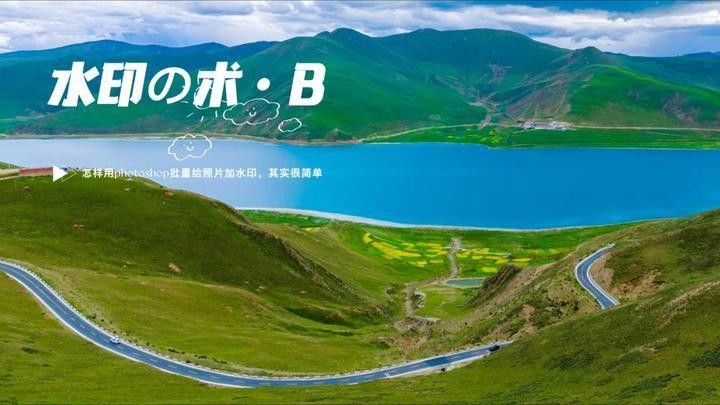 有沒有雷龍魚照片批量處理的模板？：關于雷龍魚照片批量處理的模板方案結合專業工具與高效方法