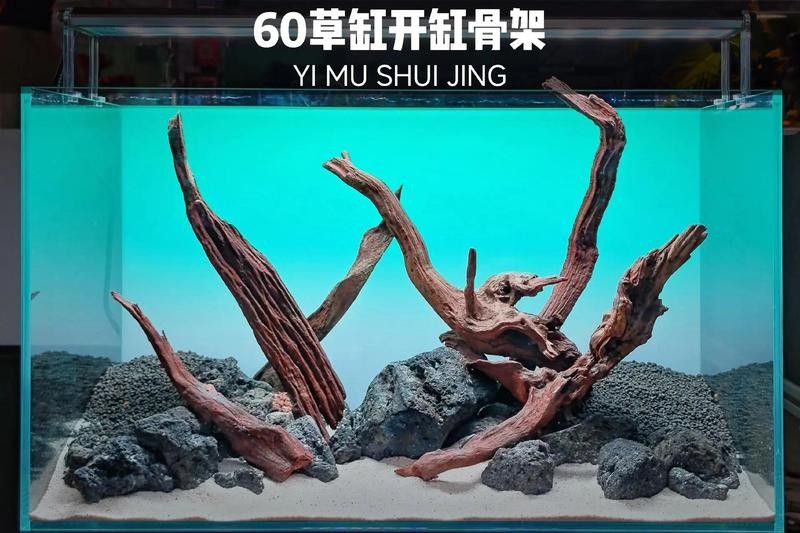 60×30魚缸適合哪些水草：60×30cm的魚缸作為中型草缸，適合種植多種水草