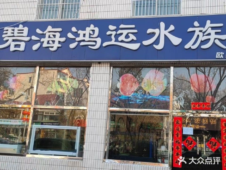 和興龍魚華東旗艦店有哪些特色服務(wù)，和興龍魚華東旗艦店 和興龍魚華東旗艦店有哪些特色服務(wù)，和興龍魚華東旗艦店 龍魚百科 第1張