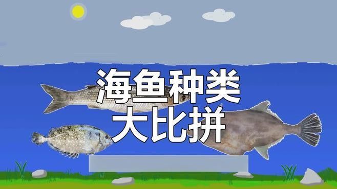 有哪些常見的河魚和海魚？：中國淡水魚種類