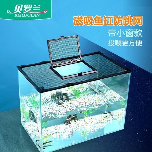 雷龍魚缸蓋的價(jià)格范圍是多少：diy雷龍魚缸蓋：省錢又美觀的秘訣