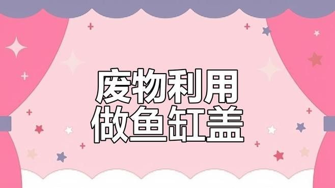 雷龍魚缸蓋的價(jià)格范圍是多少：diy雷龍魚缸蓋：省錢又美觀的秘訣