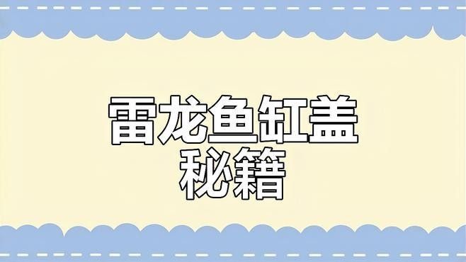 雷龍魚缸蓋的價(jià)格范圍是多少：diy雷龍魚缸蓋：省錢又美觀的秘訣