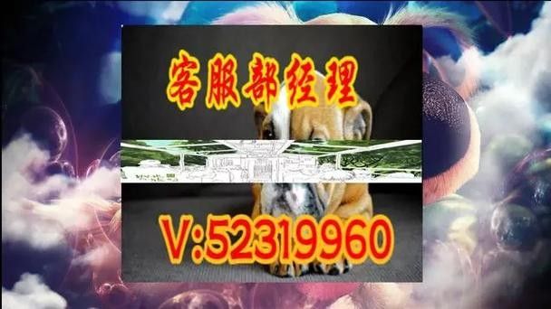 騰龍魚缸的微信客服哪個更有效？：如何判斷一個微信客服是否官方認證