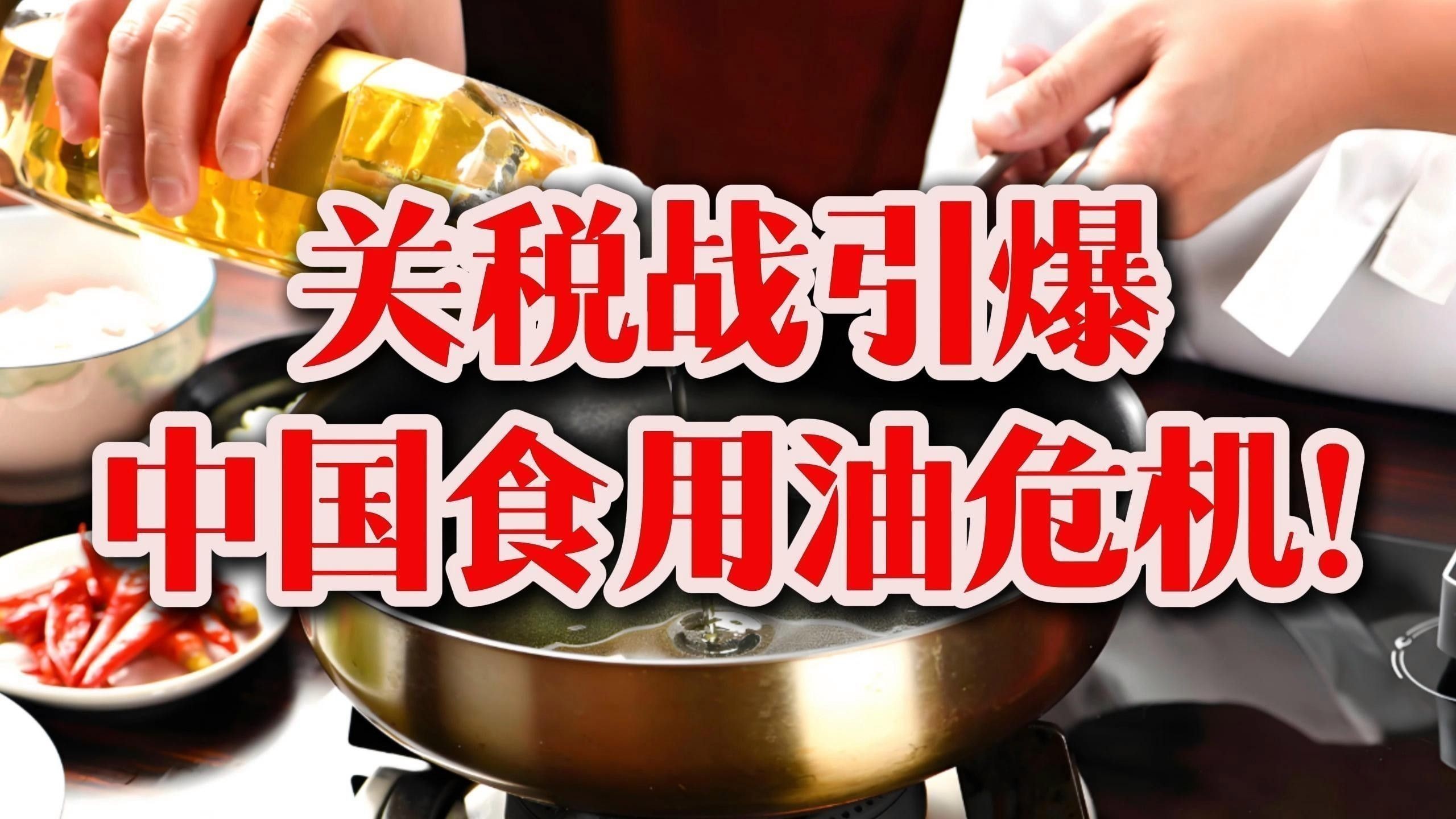 金龍魚種植商未來有何發展規劃：金龍魚:2024年業績亮眼,未來可期