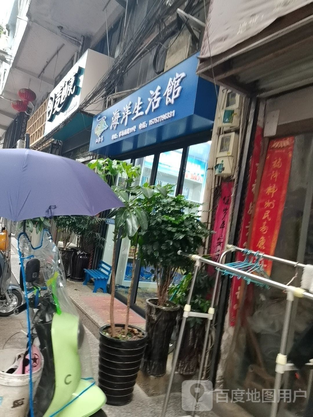文成哪個水族館龍魚好？祥龍魚場龍魚：文成縣幸福路祥龍觀賞魚場