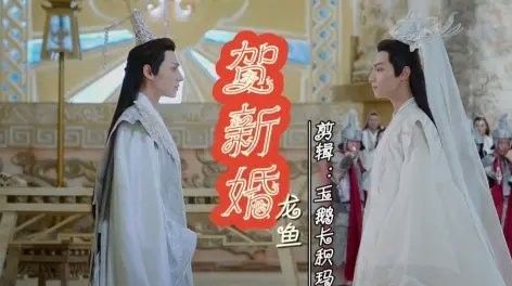 B站有哪些龍魚UP主？：b站與“龍魚”相關的up主內容主要包括以下幾類 B站有哪些龍魚UP主？：b站與“龍魚”相關的up主內容主要包括以下幾類 龍魚百科 第1張