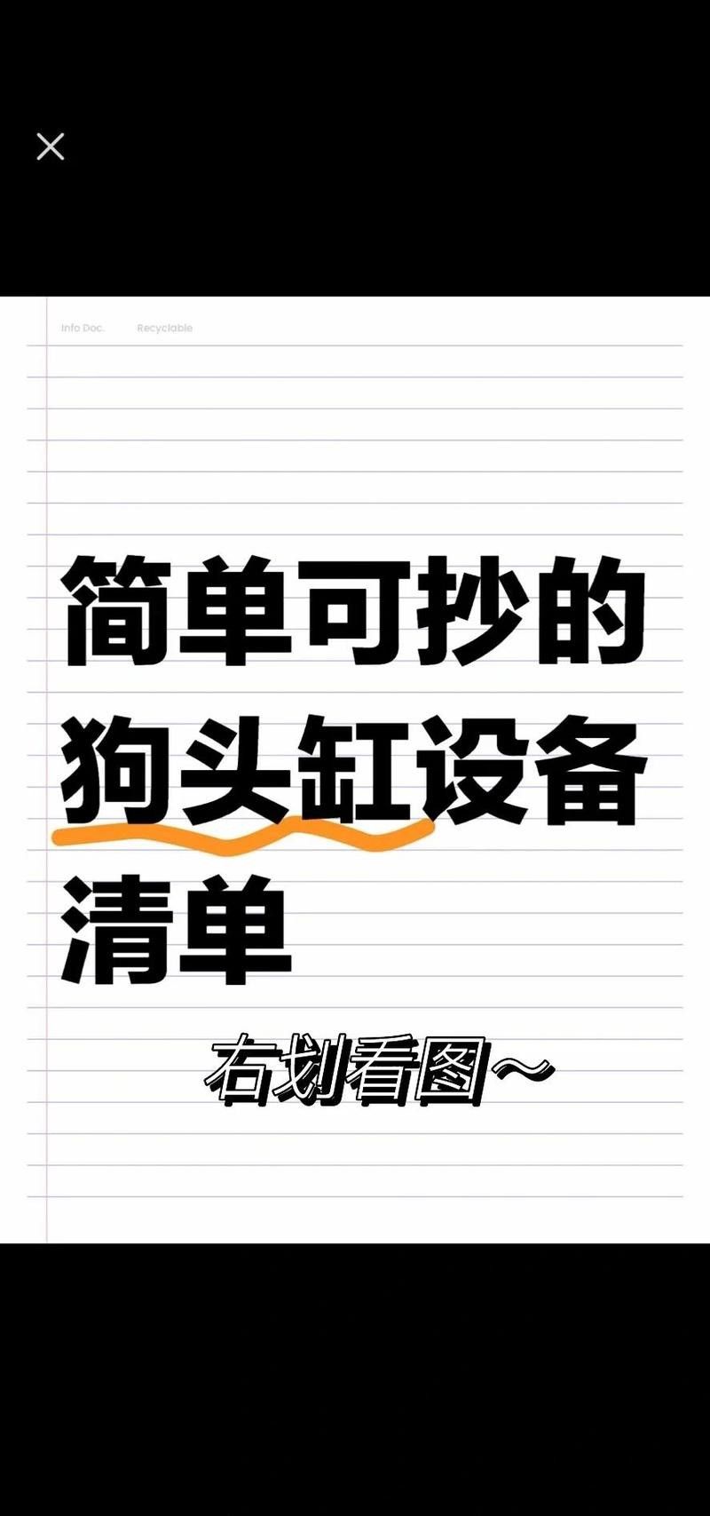 斑馬狗頭和恐龍魚混養(yǎng)案例：斑馬狗頭與恐龍魚混養(yǎng)存在較高風險 斑馬狗頭和恐龍魚混養(yǎng)案例：斑馬狗頭與恐龍魚混養(yǎng)存在較高風險 龍魚百科 第7張
