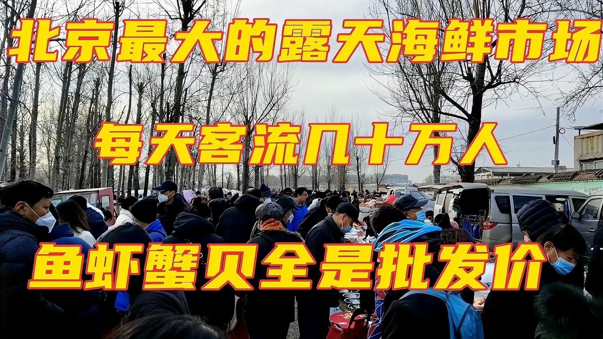 給我推薦一些類似海底飛龍魚的海鮮：“海底飛龍魚”名稱及種類