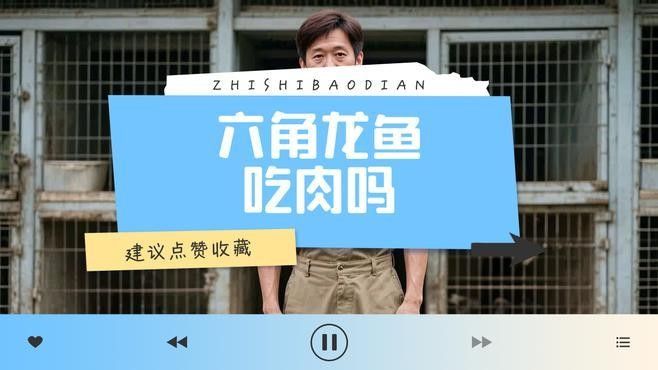 如何處理南極磷蝦給六角恐龍魚吃：六角恐龍的喂養指南 如何處理南極磷蝦給六角恐龍魚吃：六角恐龍的喂養指南 龍魚百科 第1張