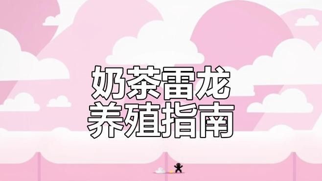 奶茶雷龍魚適合新手嗎：奶茶雷龍飼養秘籍,新手必看!