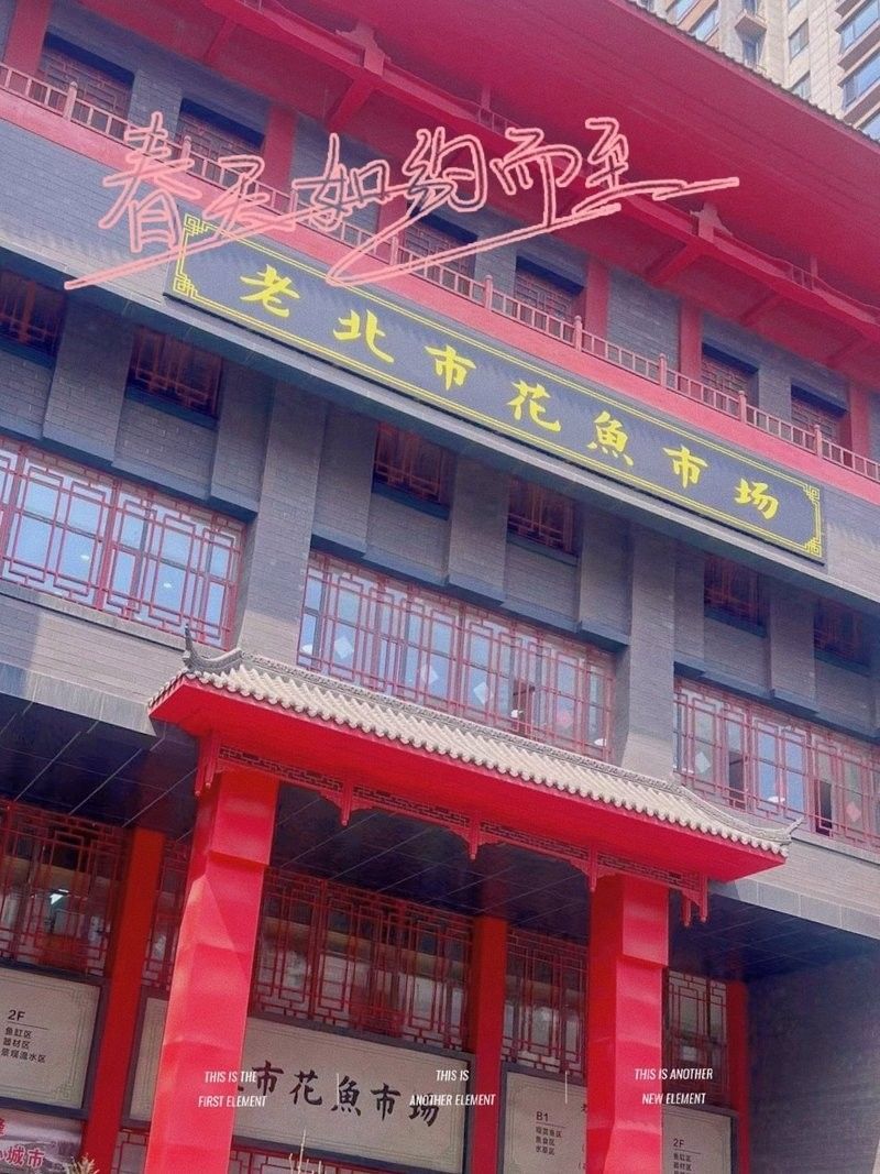 沈陽老北市花鳥魚市場的營業(yè)時間：大眾點評，沈陽老北市花鳥魚市場探秘攻略